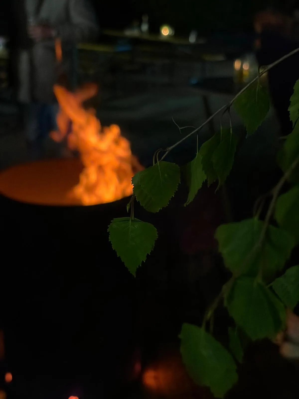 Maifest 2026